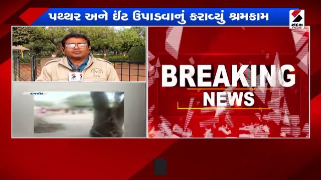 રાજકોટમાં શિક્ષણ થયું 'શર્મસાર', બાળકીઓ પાસે મજૂરી કરાવવાનો વીડિયો વાયરલ