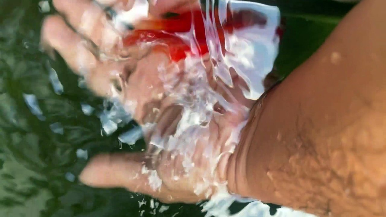 Goldfish part#2
