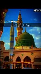 Woh Mera NABI hai--Zohaib Ashrafi✨ lyrical whatsapp status -- subscribe for more --_short_ramzanmubarak(360P)