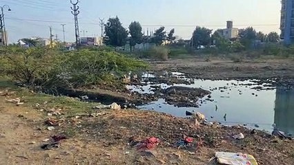 निजी कॉलोनी के पास खाली भूखंडों में जमा गंदा पानी