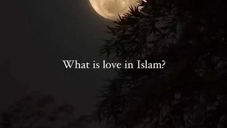 What is love in Islam? #allah #subhanallah #alhamdulillah #allahuakbar #astaghfar