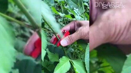 Glow in the dark Sticker