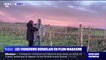 Crise du vin : les vignerons bordelais en plein marasme