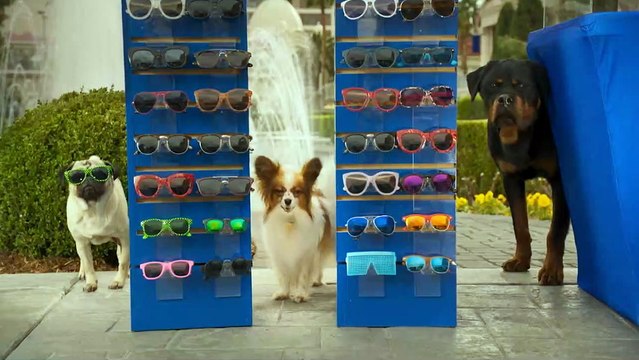 Le Dog Show Bande-annonce (RU)