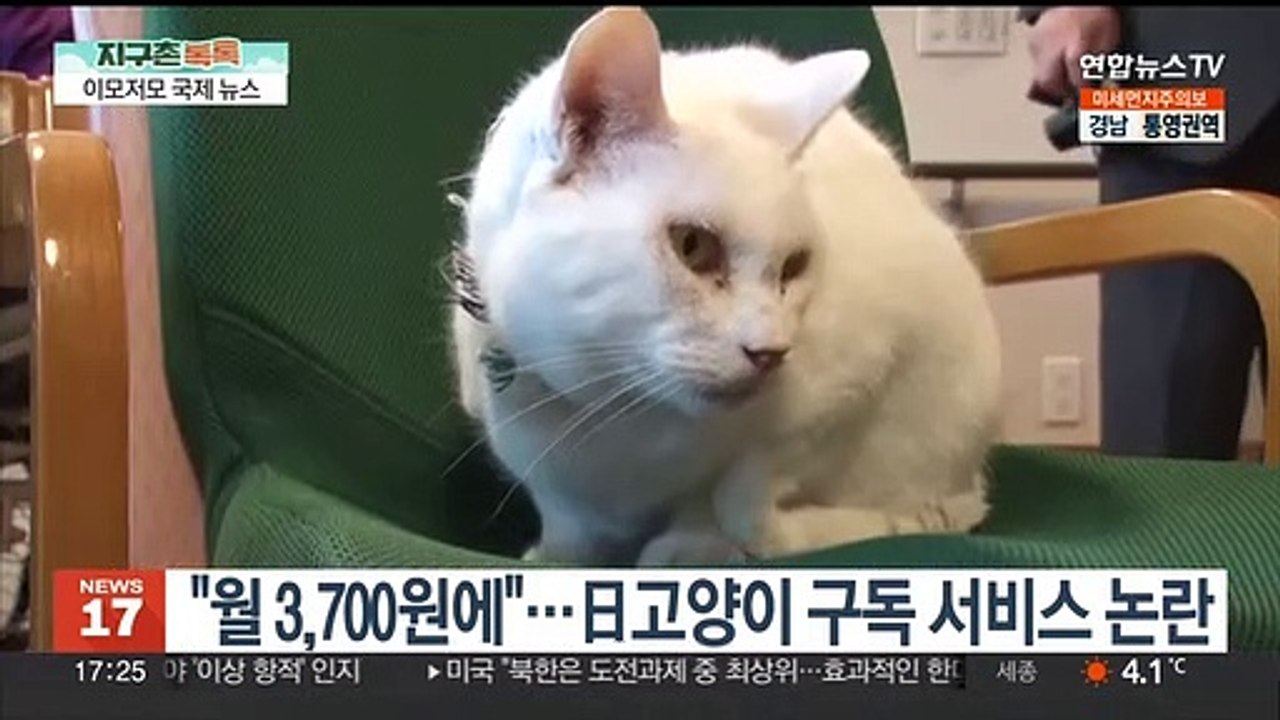 [지구촌톡톡] 독일 아우토반서 테슬라 자율주행 시켜놓고 잠든 운전자 外