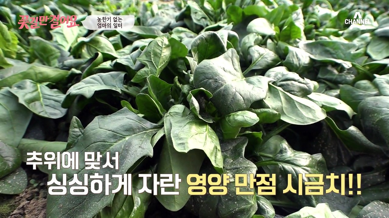 허리 아픈 어머니가 걱정되어 일을 자처하는 이창훈