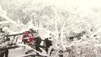 "많은 눈이 오면 사람들은 이 산으로 간다"...덕유산 설경 / YTN