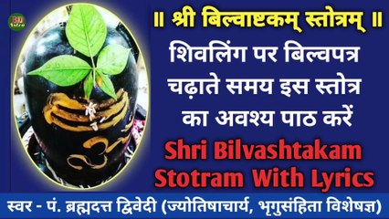 श्री बिल्वाष्टकम् स्तोत्रम् | शिवलिंग पर बिल्व पत्र चढ़ाते समय इस स्तोत्र का अवश्य पाठ करें | Shri Bilvashtakam Stotram | स्वर - पं. ब्रह्मदत्त द्विवेदी (ज्योतिषाचार्य, भृगुसंहिता विशेषज्ञ)