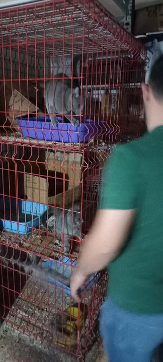 Pet shop'ta kaçak evcil hayvan satışına 22 bin lira ceza