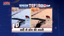 Viral Top 10 : देखिए सोशल मीडिया पर वायरल वीडियो का Countdown | Top viral video |