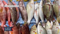 Harga Ikan Laut di Sorong Naik Akibat Dampak Cuaca Buruk