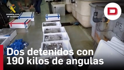 Detenidos con 190 kilos de angulas en el puerto de Algeciras 🦐