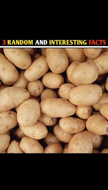 Aloo Kachaloo Beta | 3 Intresting Facts | #shorts #factsinhindi #shortsfactsvideo #viral #trending #facts #vegetable #knowledge #information  #intrestingvideo #smallvideo #shortvideo #science #crop #potato #potatoes #grow