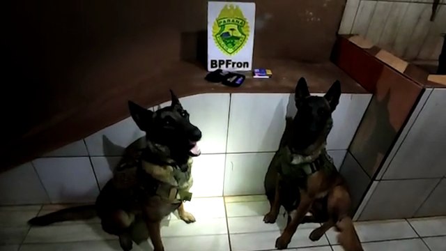 BPFRON encaminha indivíduos para a delegacia em Marechal Candido Rondon