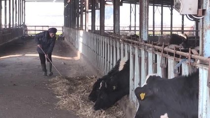 "TarımCebimde" uygulamasını kullanan çiftçiler, işlemlerini daha hızlı yapıyor