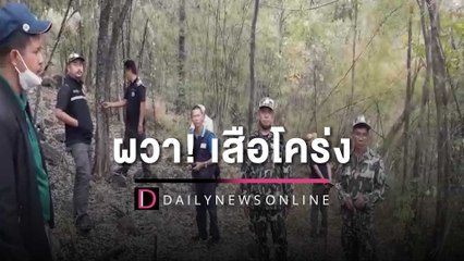 ชาวบ้านยังผวา! อุทยานฯ-ปกครอง ปูพรมค้นป่าไทรโยค ยังไม่พบเสือโคร่ง | HOTSHOT เดลินิวส์ 07/01/66