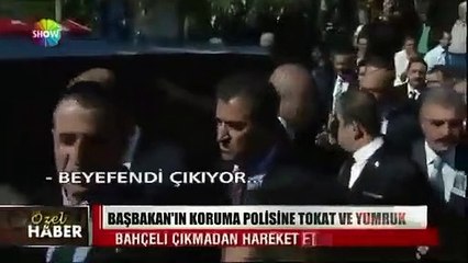 MHP'li Olcay Kılavuz'un,  2013'te Başbakanlık koruma polisini yumrukladığı ve sonrasında serbest bırakıldığı olay yeniden gündem oldu