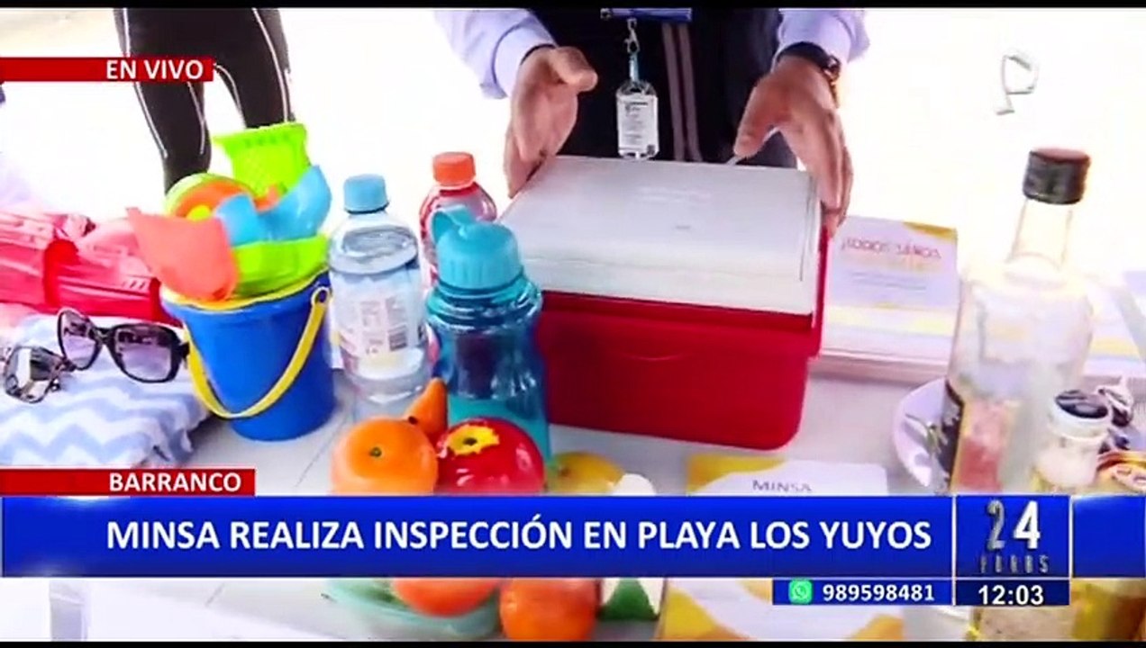 Playas saludables: Minsa explica cómo identificar las playas aptas para veranear