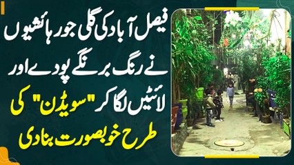 Faisalabad Ki Street Ko Awam Ne Colorful Plants Or Lights Laga K Sweden Ki Tarah Beautiful Bana Diya
