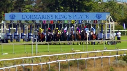 Hollywoodbets Kenilworth Express Clip Race 7 won by MAKE IT SNAPPY