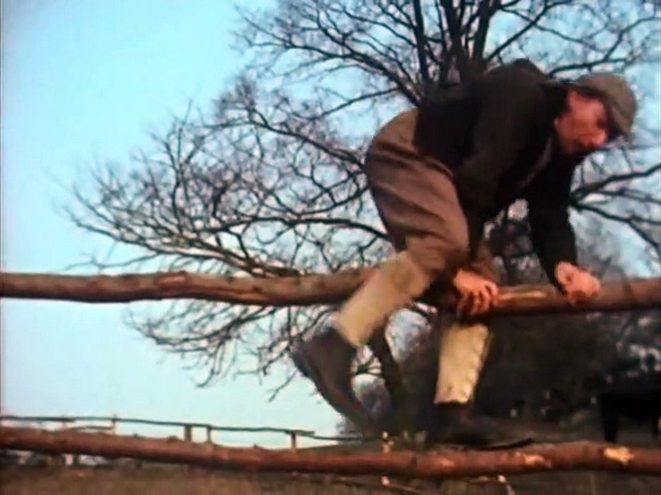 Black Beauty Staffel 1 Folge 2