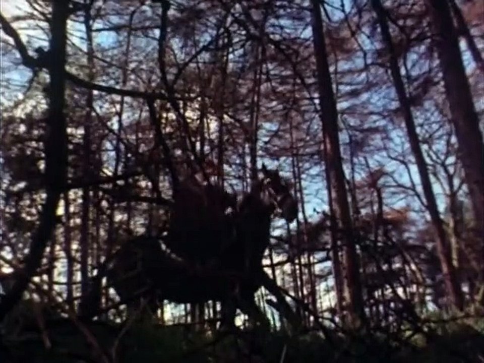 Black Beauty Staffel 1 Folge 3