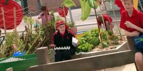 Little Lunch S01 E13