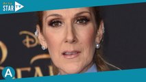 Céline Dion : Ses fans en colère, une célèbre animatrice au sol... Images d'une manif' impressionnan