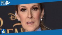 Céline Dion : Ses fans en colère, une célèbre animatrice au sol... Images d'une manif' impressionnan