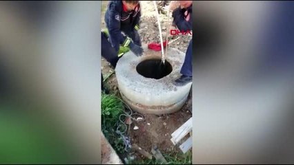 İSTANBUL-ATAŞEHİR'DE ÇUKURA DÜŞEN KÖPEĞİ İTFAİYE KURTARDI