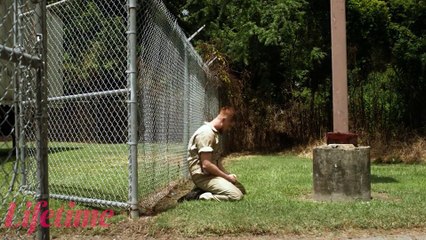 0170 - Steppin' Into The Holiday  Lifetime Movies 2022  #LMN Movies Based On True Story (2022)  #675