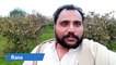 Gaon Ki Subha Or Khubsoorat Nazara || Village Tour || Village Life || Rana Shahzad Vlogs