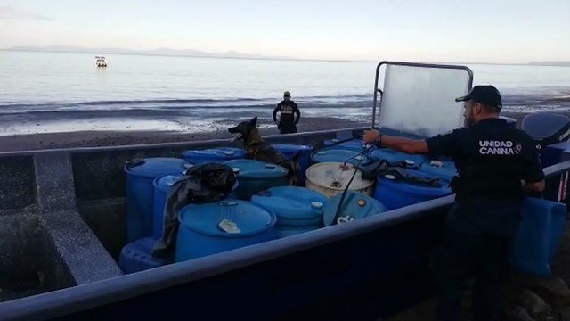 ext-decomiso-droga-070123