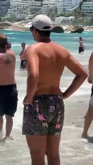 Cucciolo di foca morde due bagnanti