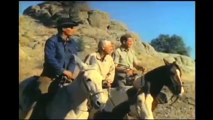 Jaguar Vs Dogs - Jaguar Shows NO FEAR from Dogs