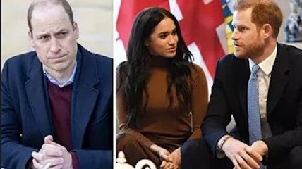 William dévasté par une « distorsion totale de la réalité » alors que Harry qualifie de « traître »