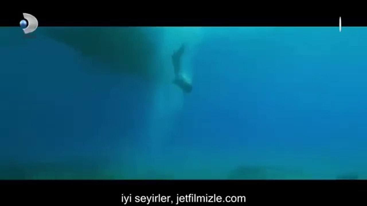 Düğün dernek 2 full HD izle