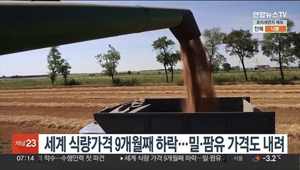 세계 식량가격 9개월째 하락…밀·팜유 가격도 내려