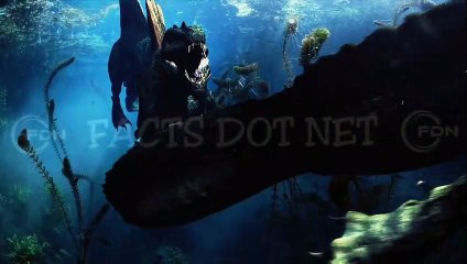 Did you know? It is often said that Stegosaurus had a brain the size of a walnut