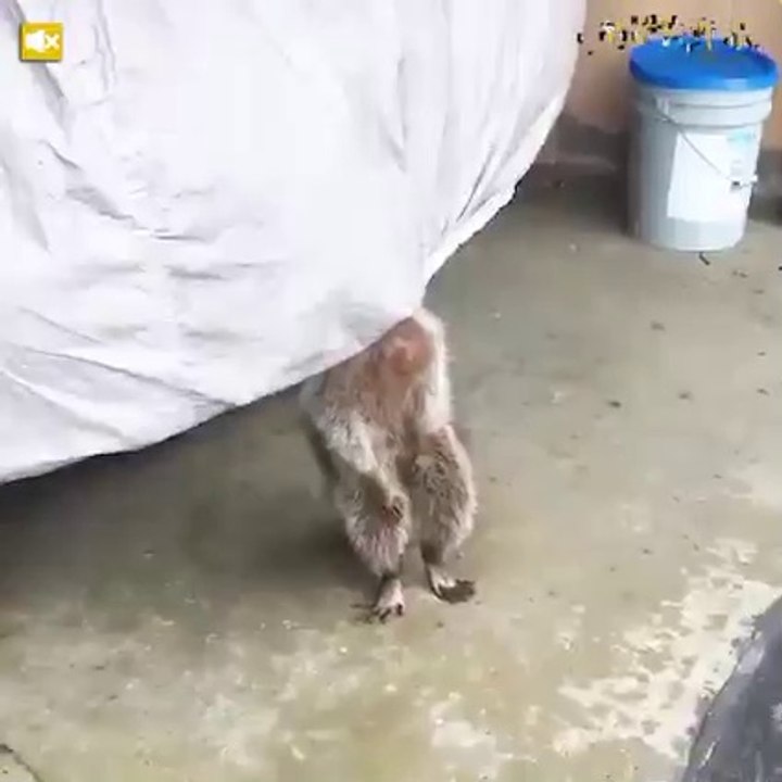 oh my god