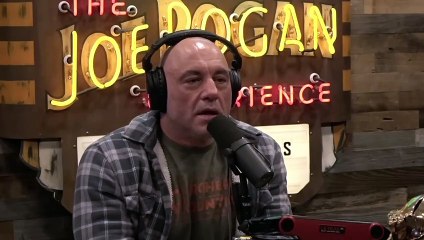 Joe Rogan- Where Did The BLM Money GO-! & Comedy _ Life Is A Meritocracy!