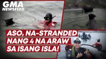 Aso, na-stranded nang 4 na araw sa isang isla! | GMA News Feed