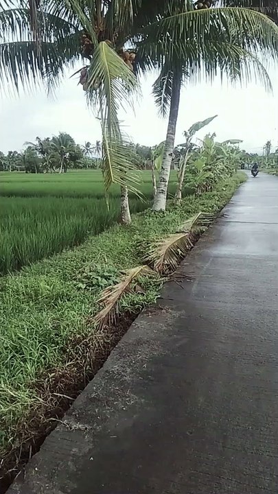 AB sejuk