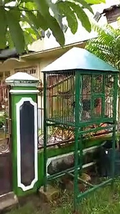 Suasana pagi di kampung