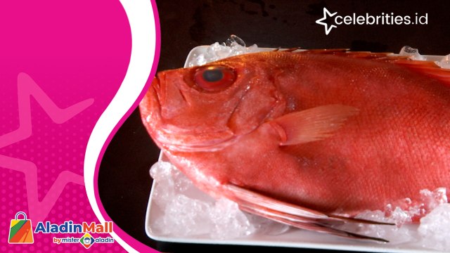 Nikmatnya Olahan Kuliner Ikan Mata Lebar, Penuh Usaha untuk Menangkapnya