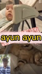 Kucing mengayun bayi