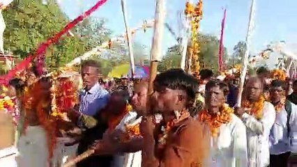 परंपरा: भंगाराम मांई में हुआ फूलमेला, अब इलाके में शुरू होगी मड़ई मेला, देखें VIDEO