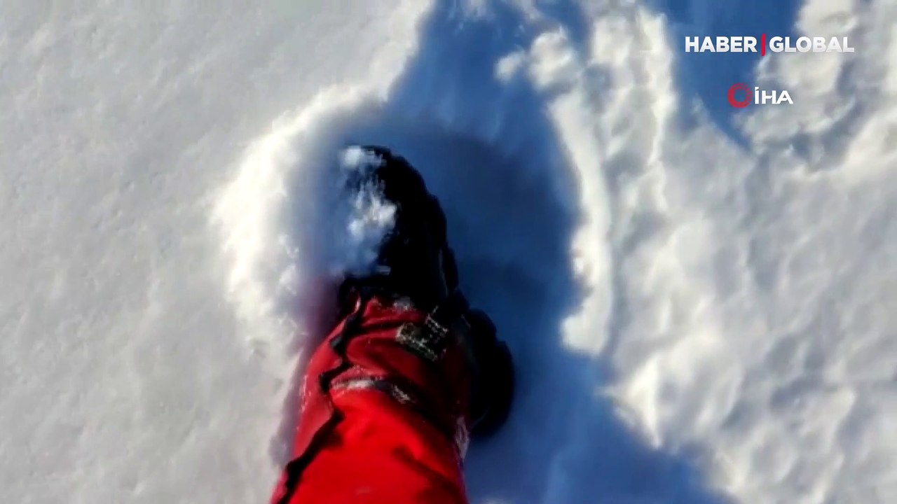 Kış uykusuna yatmayan ayı yayla evlerine dadandı