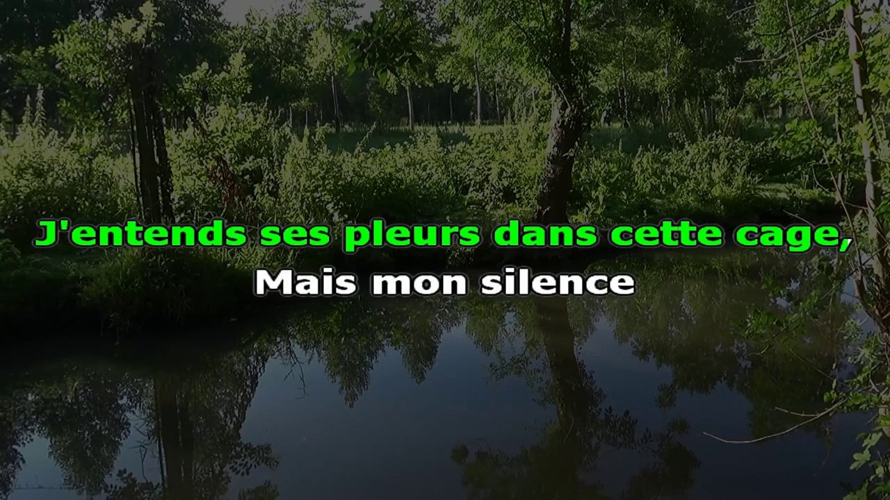 KARAOKE Soprano - Mon silence