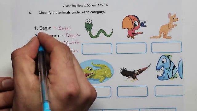 7. Sınıf İngilizce Dersi 1. Dönem 2. Yazılı Soruları ve Cevapları Yeni